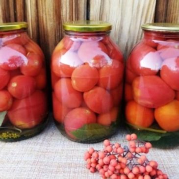 Заготовки на зиму из помидоров – три классических рецепта